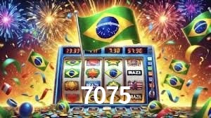 Experiência VIP 7075