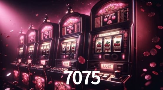 Bônus Diários 7075