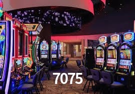 Security Systems 7075